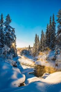 a river covered in snow with snow covered trees at Hemgården i Storsätern - Grövelsjöfjällen in Grövelsjön
