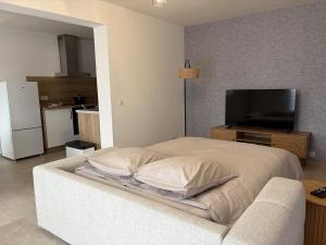 a bedroom with a bed with a television and a couch at L'essentiel in Hambach