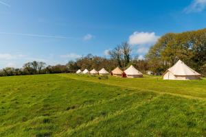 a row of tents in a grassy field at Boscoppa Farm-Emperor Tent No2 in Trethurgy +22 photos
