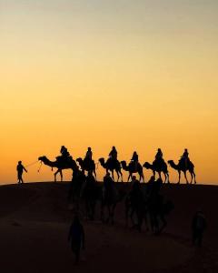 a group of people riding horses in the desert at sunset at Camp Merzouga Sand Explorer in Merzouga