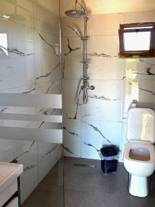 a bathroom with a shower and a toilet at Sandri Nature Lodge in Karahaxh +7 photos