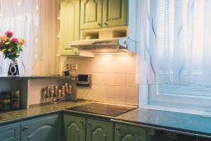 a kitchen with green cabinets and a counter top at Dům cestovatele in Uherský Brod +19 photos