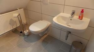 a bathroom with a toilet and a sink at Ferienwohnung Mohnblume in Gerswalde +28 photos