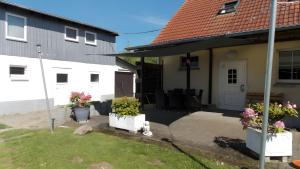 a house with two potted plants in a yard at Ferienwohnung Mohnblume in Gerswalde