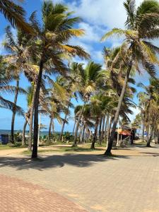 a row of palm trees on a sandy beach at casa tres quartos condominio aeroporto lazer praias mercados a poucos minutos in Salvador