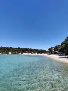 a view of a beach with clear water at Apartmani AE in Biograd na Moru