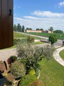 a view of a garden with a tree and bushes at Agri Alloggio Poggiolina in Bagnara di Romagna
