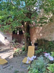 two chairs and a tree in a garden at Maison d'Orion in La Réole