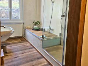 a bathroom with a shower and a toilet and a sink at Ferienwohnung Schwarzhof- Hahnekräh am Bostalsee, helle 75 qm & hundefreundlich in Nohfelden