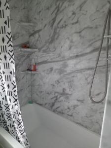 a bathroom with a shower curtain and a marble wall at Binghamton Studio in Binghamton