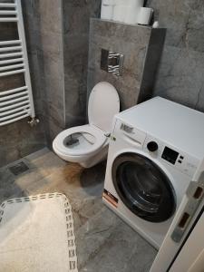a bathroom with a washing machine and a toilet at Allegra lux in Sombor
