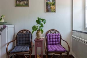 two chairs with purple cushions sitting next to a plant at Maison T2 - Le Boichot in Dole