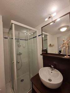 a bathroom with a shower and a white sink at Le 540 - Annecy - Parking in Annecy +33 photos