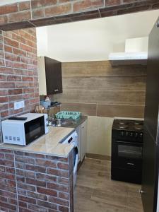 a kitchen with a microwave and a brick wall at Apartmani Kasteljan 5,Stara Novalja in Stara Novalja +4 photos