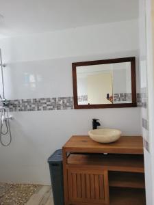 a bathroom with a sink and a mirror on a counter at Hibiscus holiday in Capesterre-Belle-Eau +3 photos