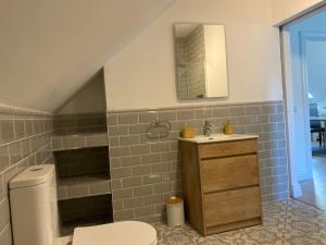 a bathroom with a toilet and a sink and a mirror at The Stables Apartment in Midleton