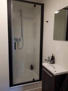 a shower with a glass door next to a sink at Chalet Du Mont in Ruien +22 photos