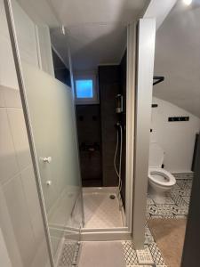 a bathroom with a shower and a toilet at Le studio de Louisette in Châteaudun