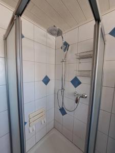 a bathroom with a shower with blue tiles at Gästehaus Kienle in Rot an der Rot +27 photos