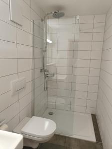 a bathroom with a shower with a toilet and a sink at Zum Goldenen Schwanen in Frankenried +17 photos
