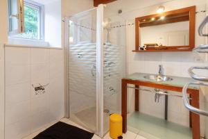 a bathroom with a shower and a sink at Gîte Le Gué De Champagné in Torxé +34 photos