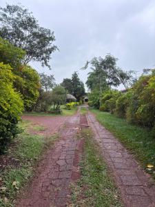 an old brick road with trees on either side at Recanto dos Querubins in Cambé