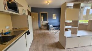 a kitchen with a sink and a counter top at Hotel Residence Juvarra Centro Benessere in Biella