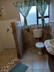 a bathroom with a toilet and a shower with a window at Cozy Corner Serenity Suite in Bredasdorp +17 photos