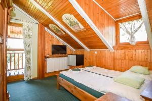 a bedroom with a bed and a tv in it at Villa Cynamon Jacuzzi & Sauna in Wisła