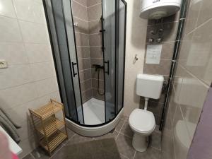 a bathroom with a shower and a toilet at Holiday Home & Apartments Primavera in Pula +71 photos