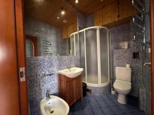 a bathroom with a sink and a shower and a toilet at Wrocławska Rooms in Poznań
