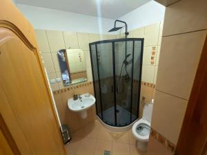 a bathroom with a shower and a toilet and a sink at Domek Przy Potoku in Biały Dunajec