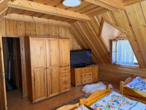 a living room with a tv and a wooden cabin at Goralska Chalupa in Vígľaš