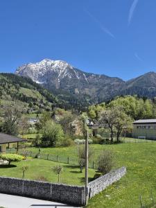 a view of a field with mountains in the background at Pyhrn Alps Inn "24h Self-Check-in-Hotel" in Spital am Pyhrn