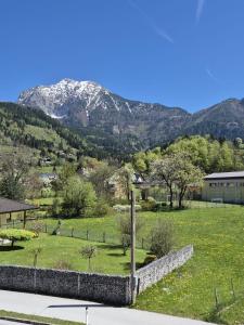 a view of a field with a mountain in the background at Pyhrn Alps Inn "24h Self-Check-in-Hotel" in Spital am Pyhrn
