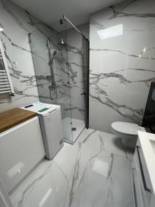 a bathroom with a shower and a toilet at Apartament Calisia II in Kalisz