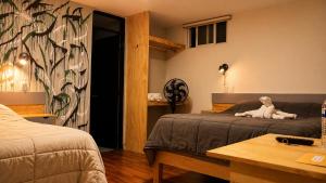 a bedroom with a bed with a teddy bear sitting on it at El Suburbio - Serapio Rendon in Morelia +96 photos