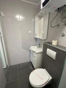 a small bathroom with a toilet and a sink at Apartments Lukrecia in Neum +179 photos