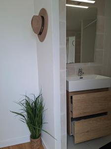 a bathroom with a sink and a mirror and a plant at Casa D Alma in Aljustrel