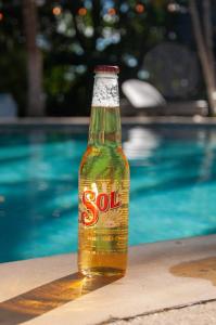 a bottle of soda sitting next to a swimming pool at Tides Oceanfront Resort in Santa Cruz