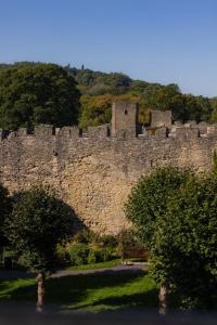 a large stone castle with trees in front of it at Castle Lodge in Ludlow