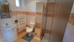 a bathroom with a toilet and a sink and a shower at Pension Motel Anna in Lenora +73 photos