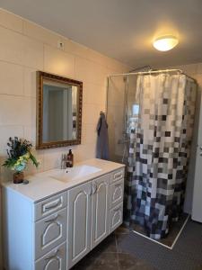 a bathroom with a sink and a shower at Hrutafell Guesthouse in Hvolsvöllur +44 photos