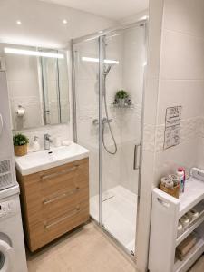 a bathroom with a shower and a sink at La Marmotte appartement cosy centre Briancon proche Prorel in Briançon +26 photos