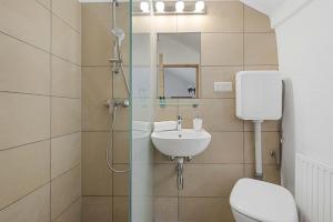 a bathroom with a shower and a toilet and a sink at Alter Brotladen - Melk Center in Melk