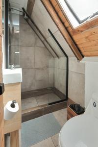 ein Badezimmer mit Dusche, Toilette und Waschbecken in der Unterkunft Casa Vigas, Ex-Rustika Hotel in Viña del Mar + 129 Fotos