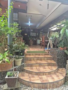 a room filled with lots of potted plants at Heart Haven Retreat in Sipalay
