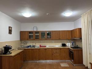 a large kitchen with wooden cabinets and a sink at Pensiunea Valea Galbenei in Arieşeni