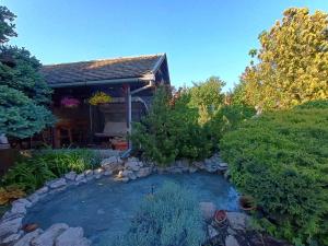 a small pond in the yard of a house at MONA app Apatin in Apatin