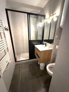 a bathroom with a shower and a sink and a toilet at Studio cosy les Sables d'Or in La Guérinière